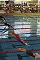 Открытый Чемпионат Испании (г. Мадрид) по плаванию