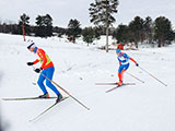 Чемпионат мира по лыжным гонкам и биатлону среди спортсменов с нарушением зрения